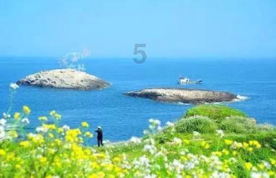 塞尔达荒野之息
