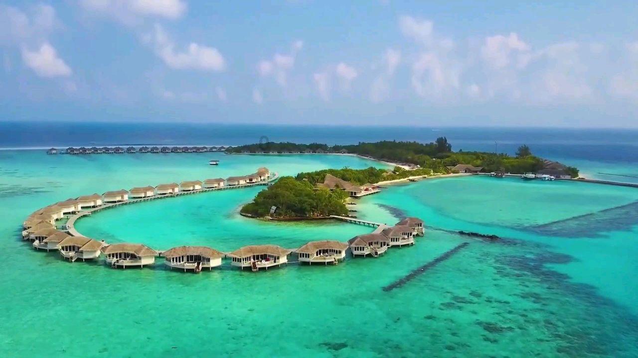 龙岩学院附近有琴行么