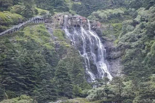 汤姆的灵魂
